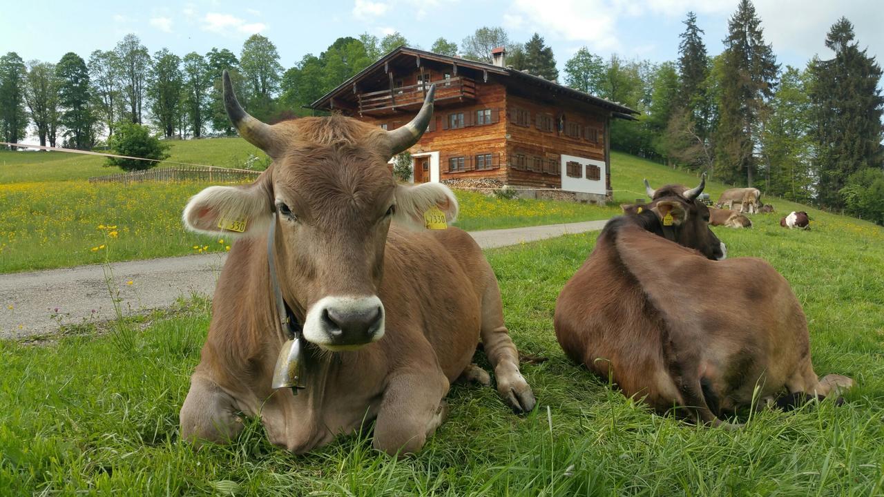 Hotel Cafe Fuggerhof Oberstdorf Exterior foto